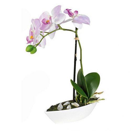 ORCHIDEJ orchidej 28 cm